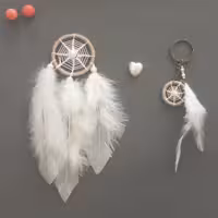 ست آویز ماشین و جاسویچی یا جاکلیدی دریمکچر دور پیچ شده با کنف و پر طبیعی