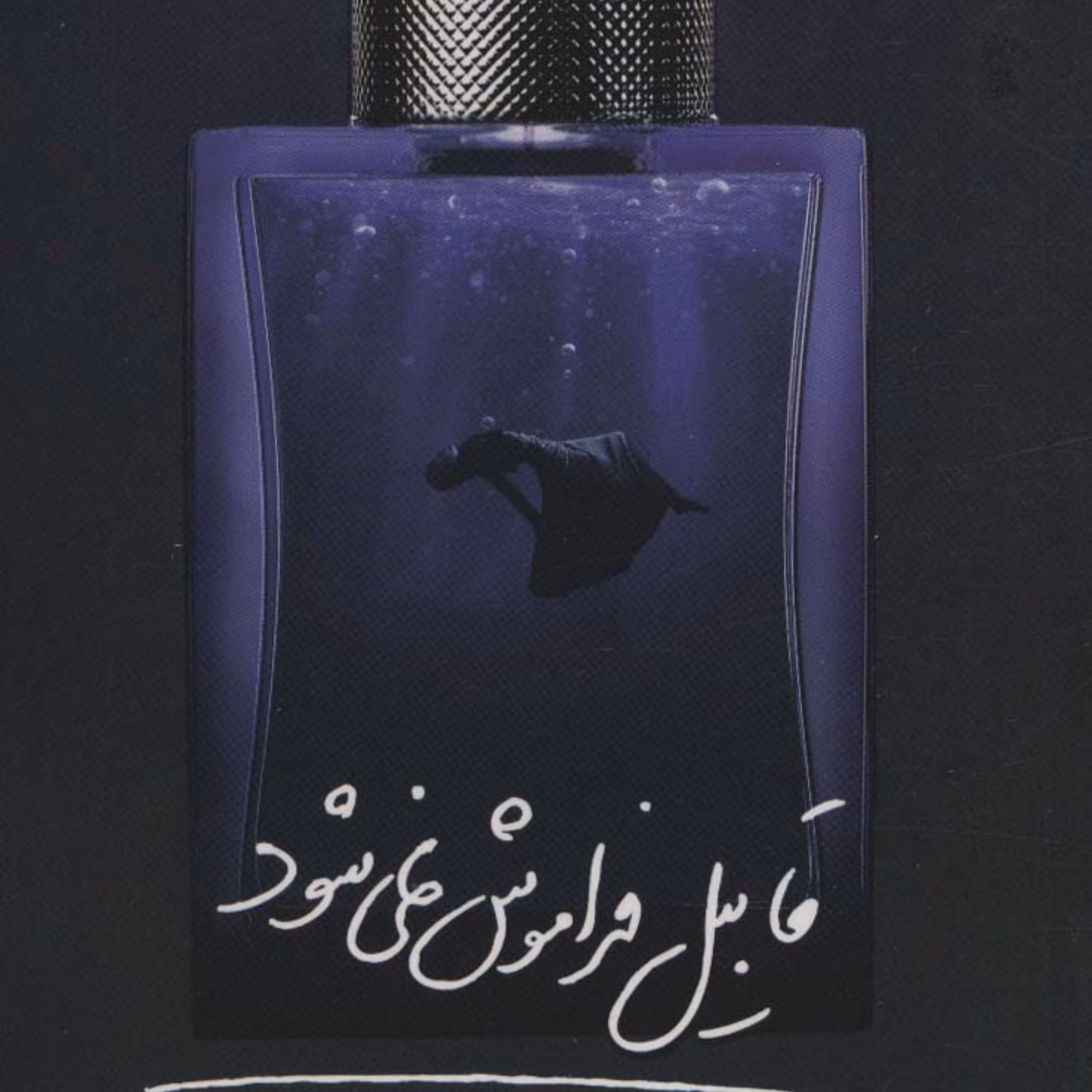 101412-کتاب قابیل فراموش نمی شود اثر زهرا امینی نشر جمکران