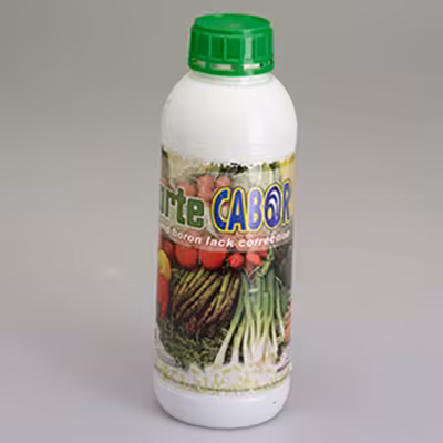 کود کلسیم و بور کورت اسپانیا