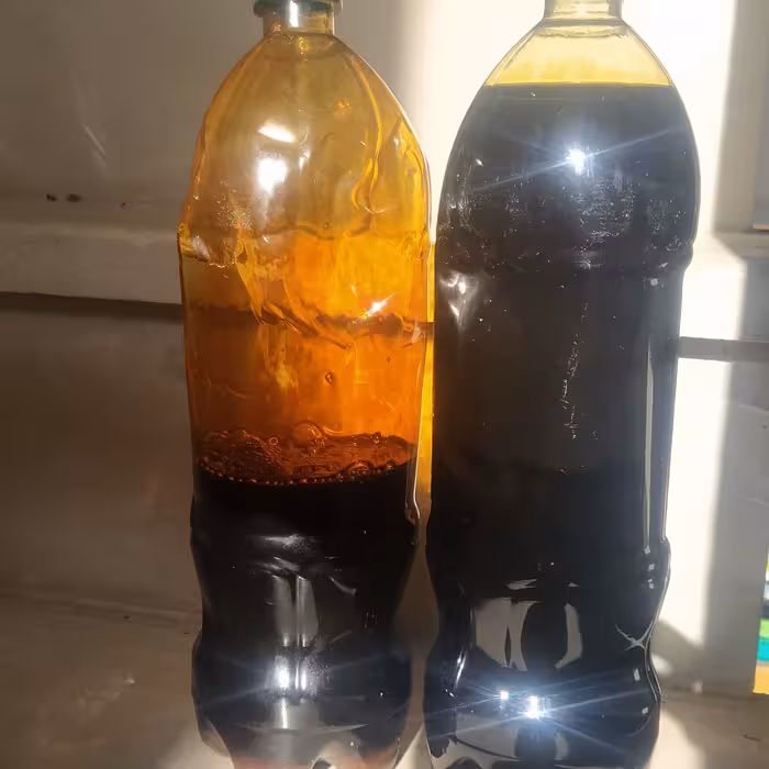 شیره انگور عسگری کاشمر  (  یک لیتر)