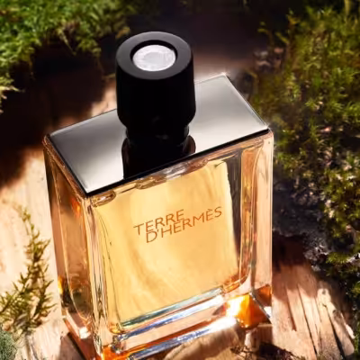 ادکلن تستر تق هرمس100 میل