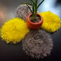 اسکاچ ظرفشویی