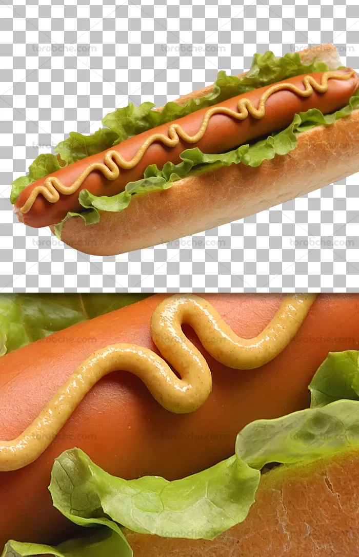 عکس PNG ساندویچ هات داگ | گرافیک با طعم تربچه