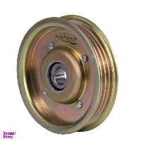 پولی هرزگرد آذرین البرز کد AZ0022 مناسب برای تیبا