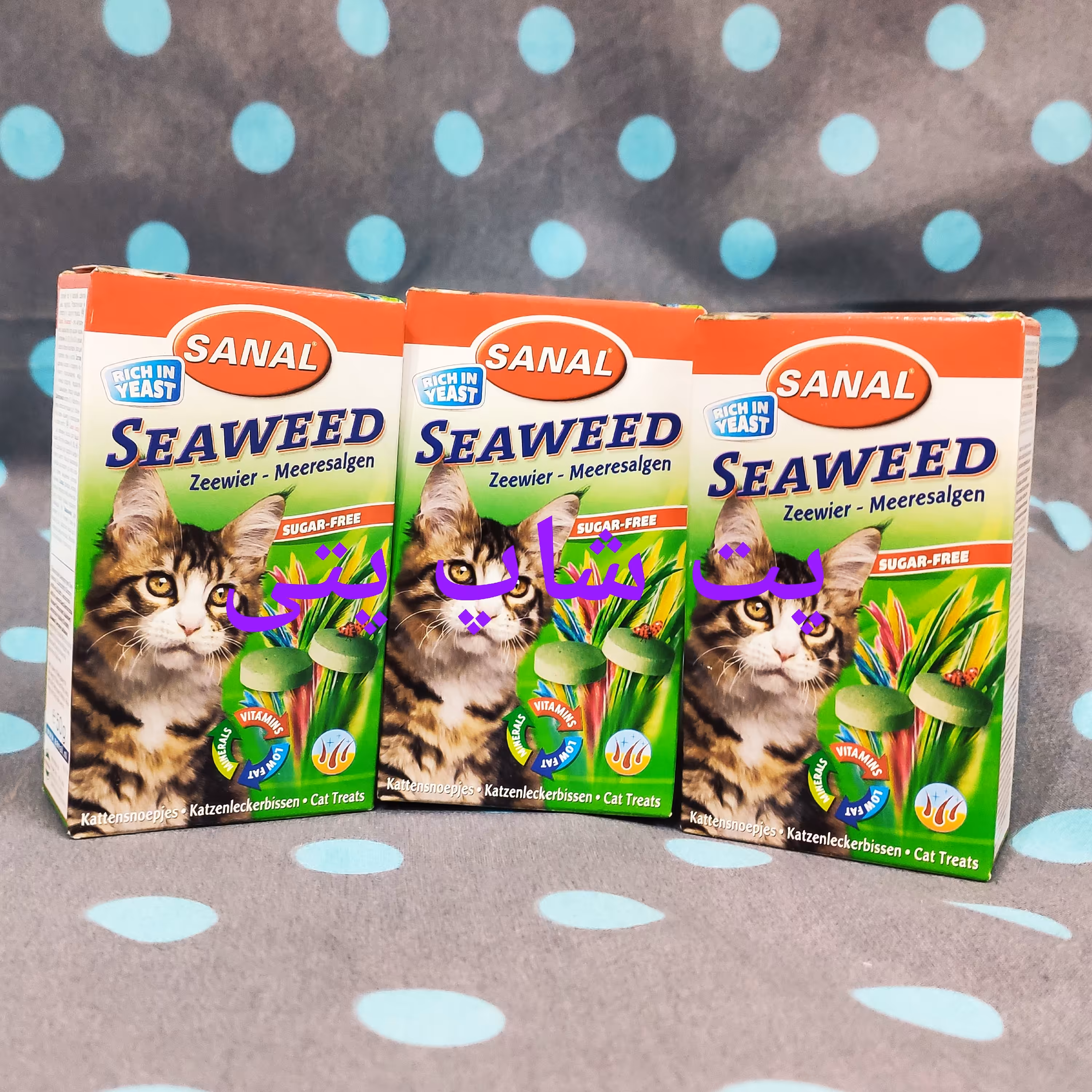 مکمل تغذیه و پوست مو سانال مخصوص گربه به همراه ویتامین با طعم جلبک دریایی