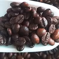 قهوه بو داده ویتنام نیم کیلویی