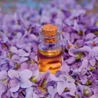 روغن بنفشه                                               با حجم 30mil به رنگبنفش روشن در بسته بندی (پت)   برند راگا raga