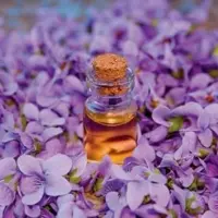 روغن بنفشه                                               با حجم 30mil به رنگبنفش روشن در بسته بندی (پت)   برند راگا raga