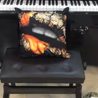 کاور کوسن مخمل چاپی با کیفیت.دو طرف مخمل. سایز 40در40 قیمت زیر بازار.