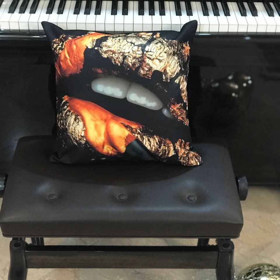 کاور کوسن مخمل چاپی با کیفیت.دو طرف مخمل. سایز 40در40 قیمت زیر بازار.