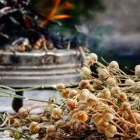 اسپند با زاج بسته  200 گرمی