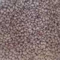 لوبیا چیتی..رقم سده..هر کیلو 70000..بوجاری شده ..درجه یک 