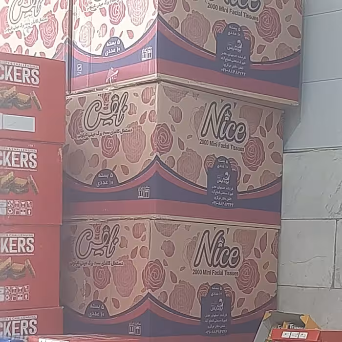 دستمال کاغذی اقتصادی 200 برگ نایس 5 بسته 10 عدد مجموع 500 بسته دستمال کاغذی اقتصادی به صرفه و قیمت بسیار 