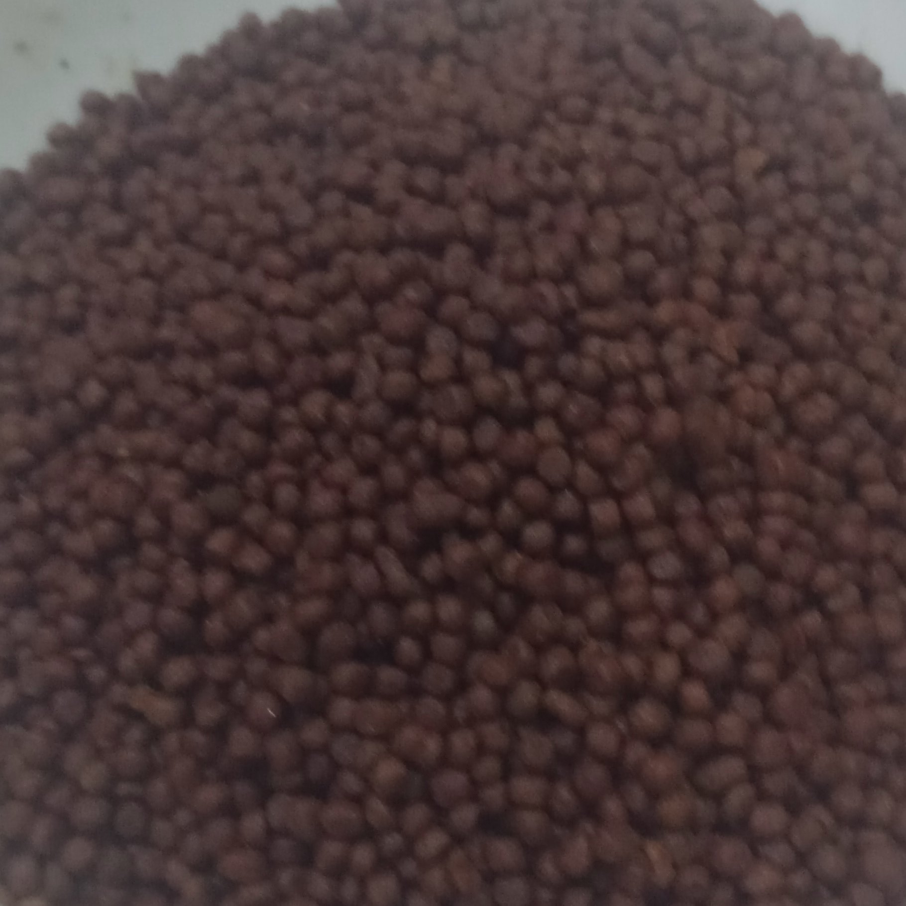 غذای ماهی رنگدانه دار مخصوص ماهی های زینتی واکواریم