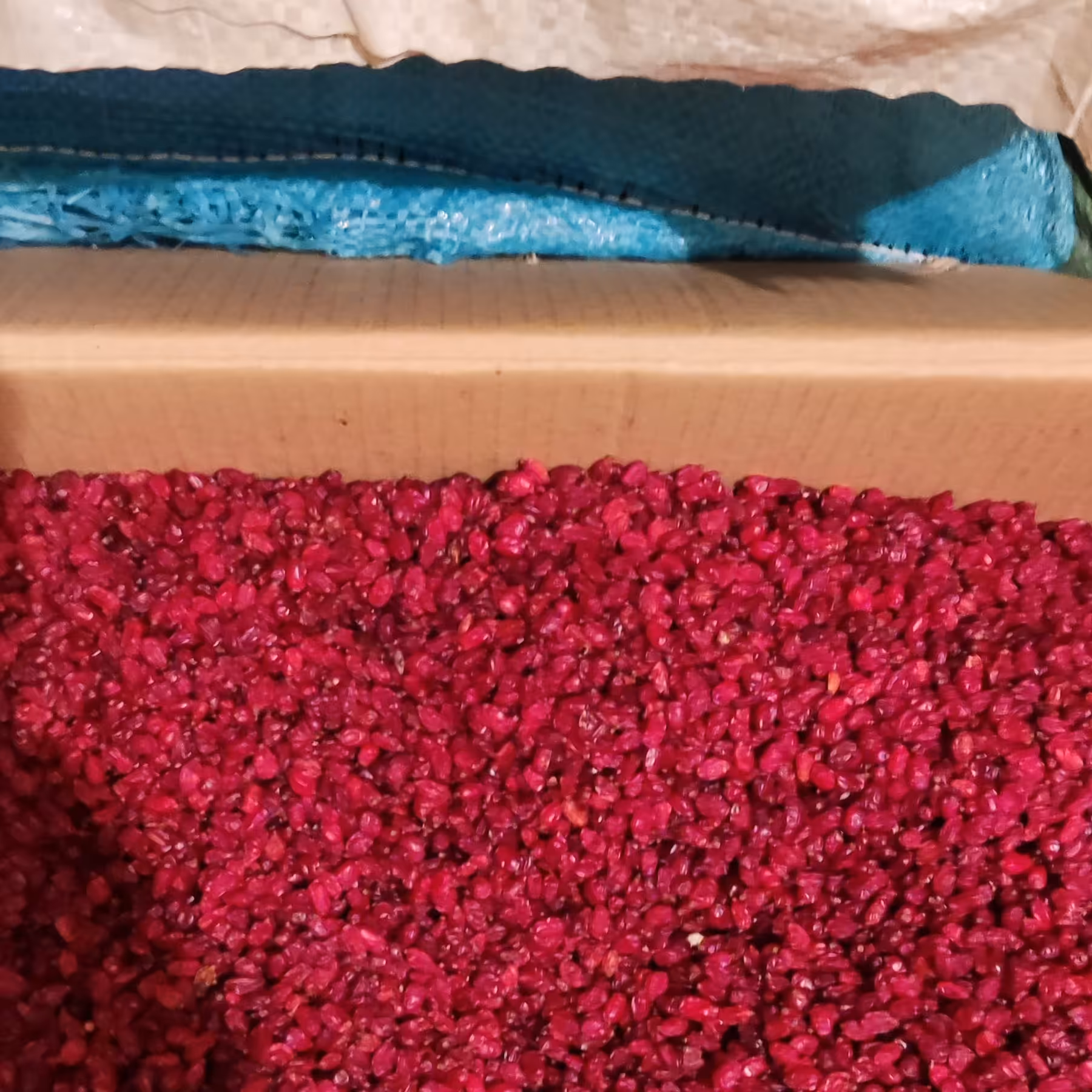 زرشک پفکی امسالی 8کیلویی خراسان جنوبی کارتنی کیلویی 89000تومان