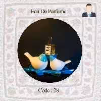 عطر مردانه مارلی پگاسوس کد28 (30میل)