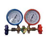 گیج دوقلو شارژ گاز چین