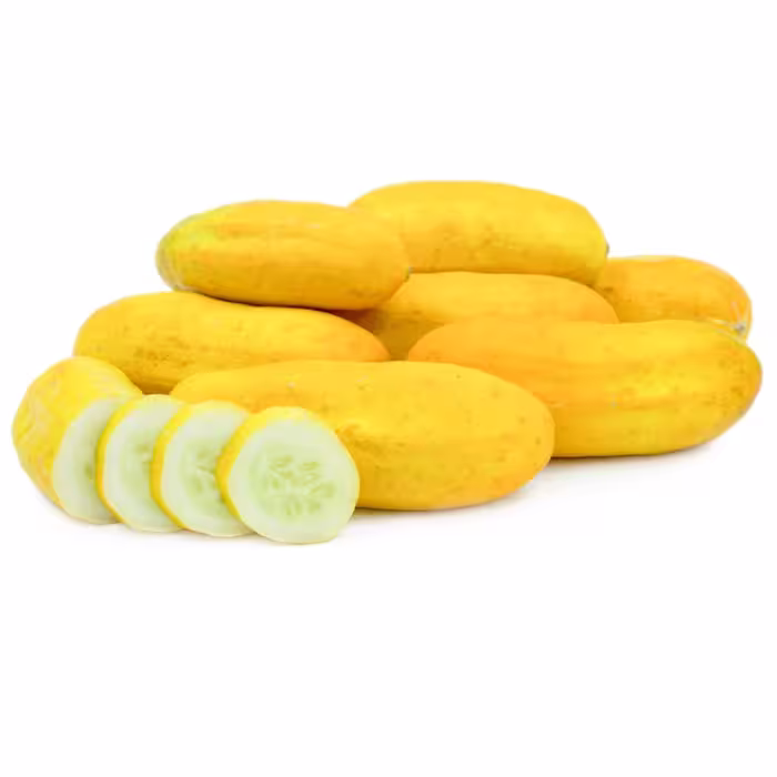 بذر خیار زرد بوته ای