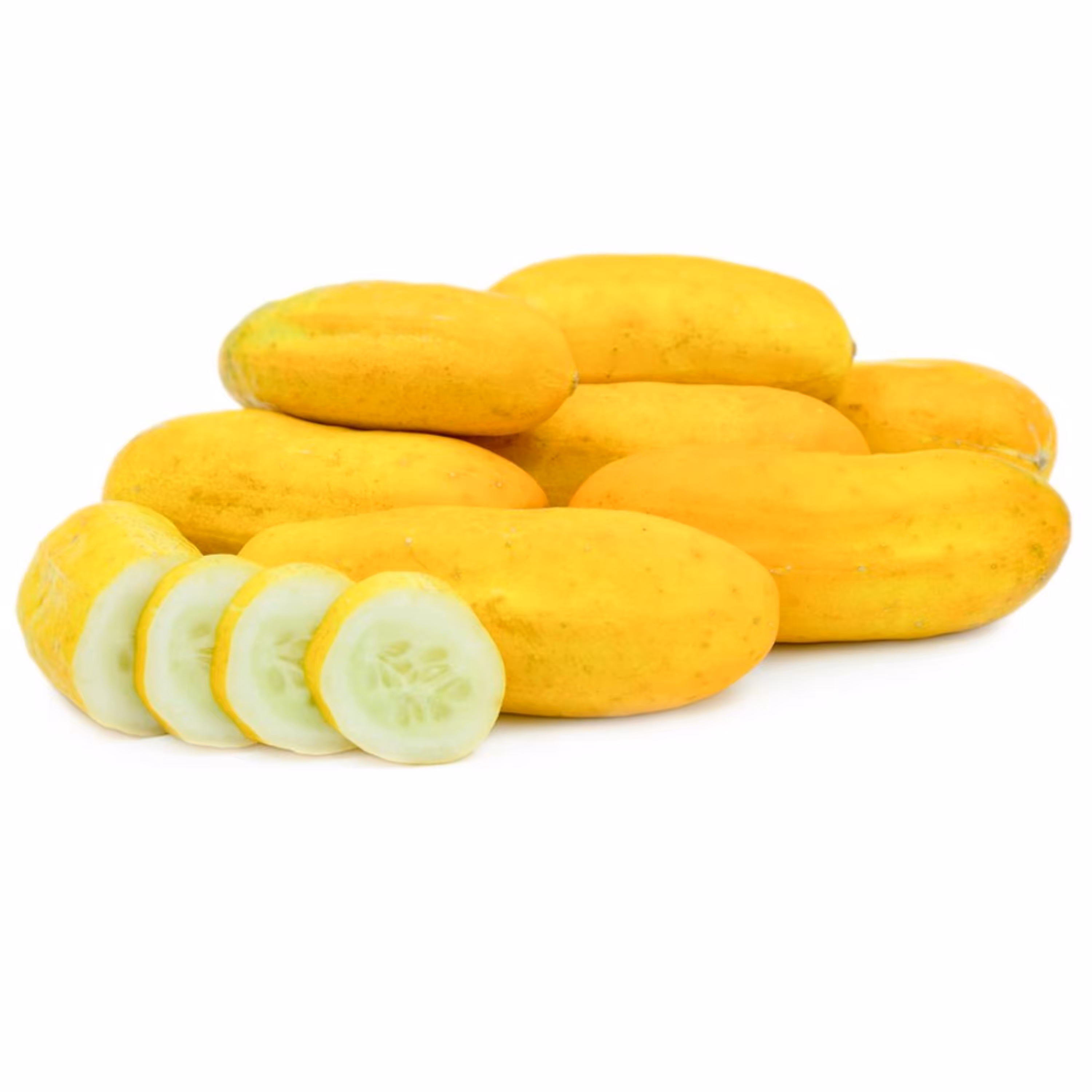 بذر خیار زرد بوته ای