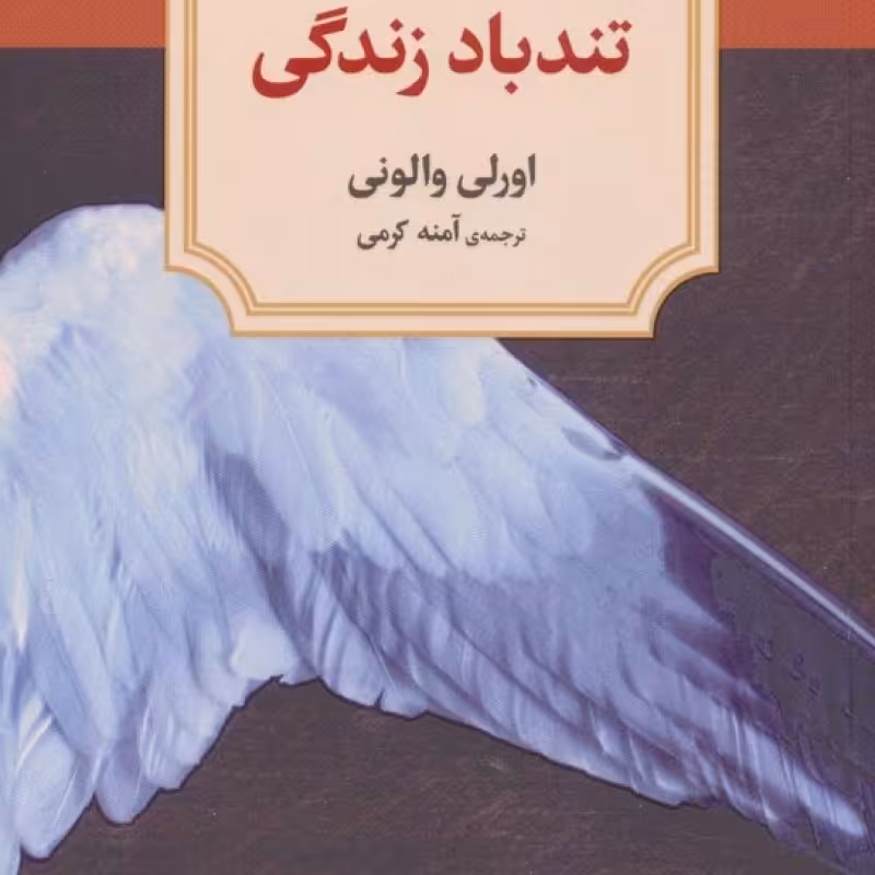 کتاب تندباد زندگی