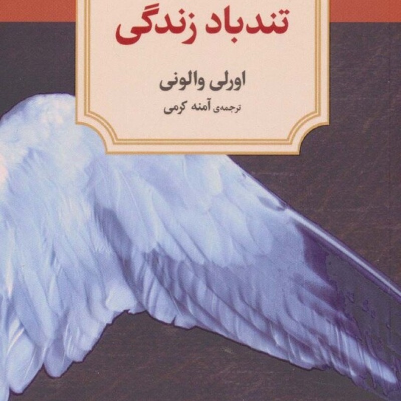 کتاب تندباد زندگی