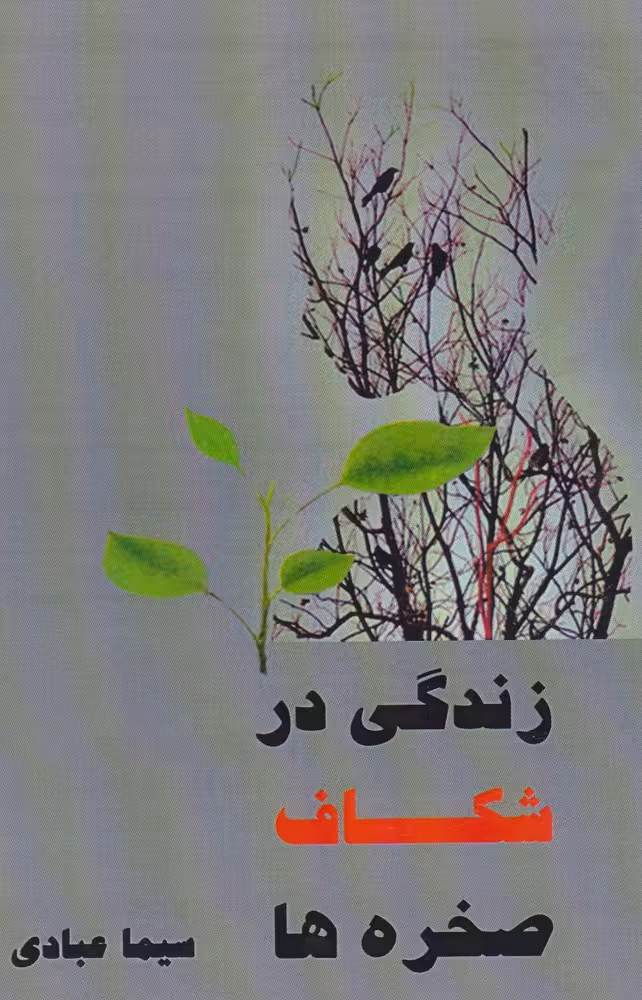 کتاب زندگی در شکاف صخره ها
