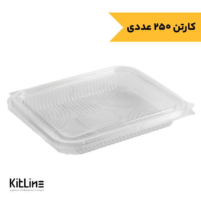 ظرف یکبار مصرف دلی رویال 500 میلی لیتری شفاف همراه درب پارس خوزستان (کارتن 250 عددی)