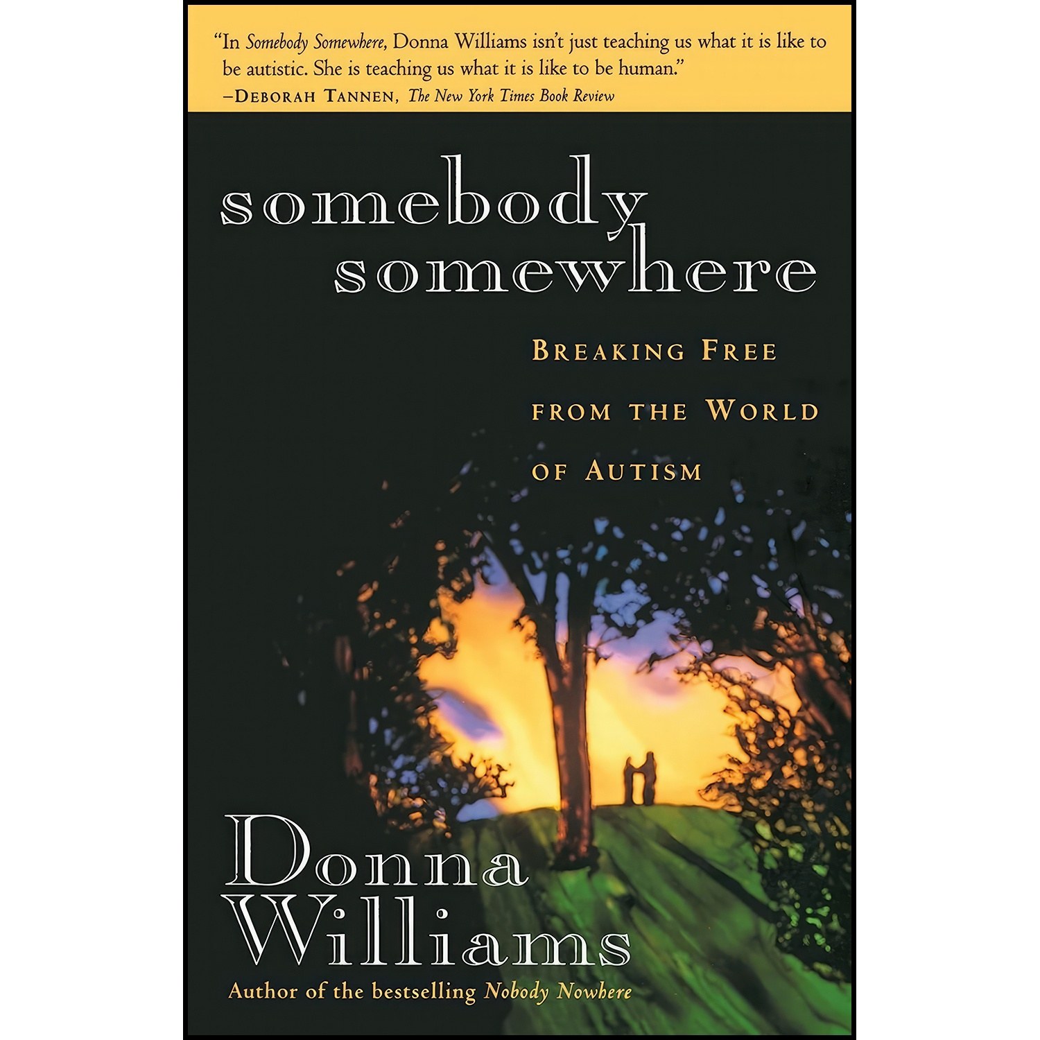 کتاب زبان اصلی Somebody Somewhere اثر Donna Williams