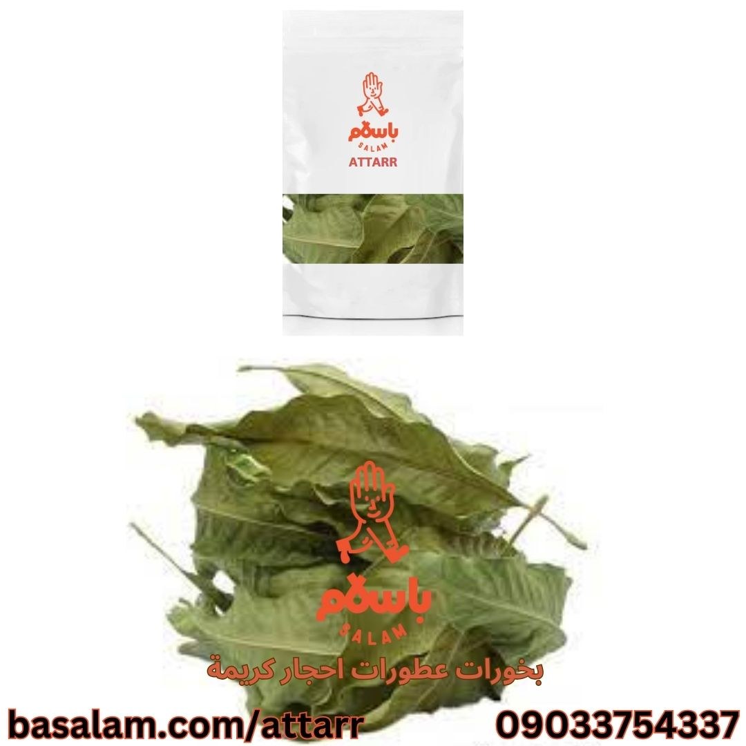 برگ انبه Mango leaf أوراق المانجو (250گرم)