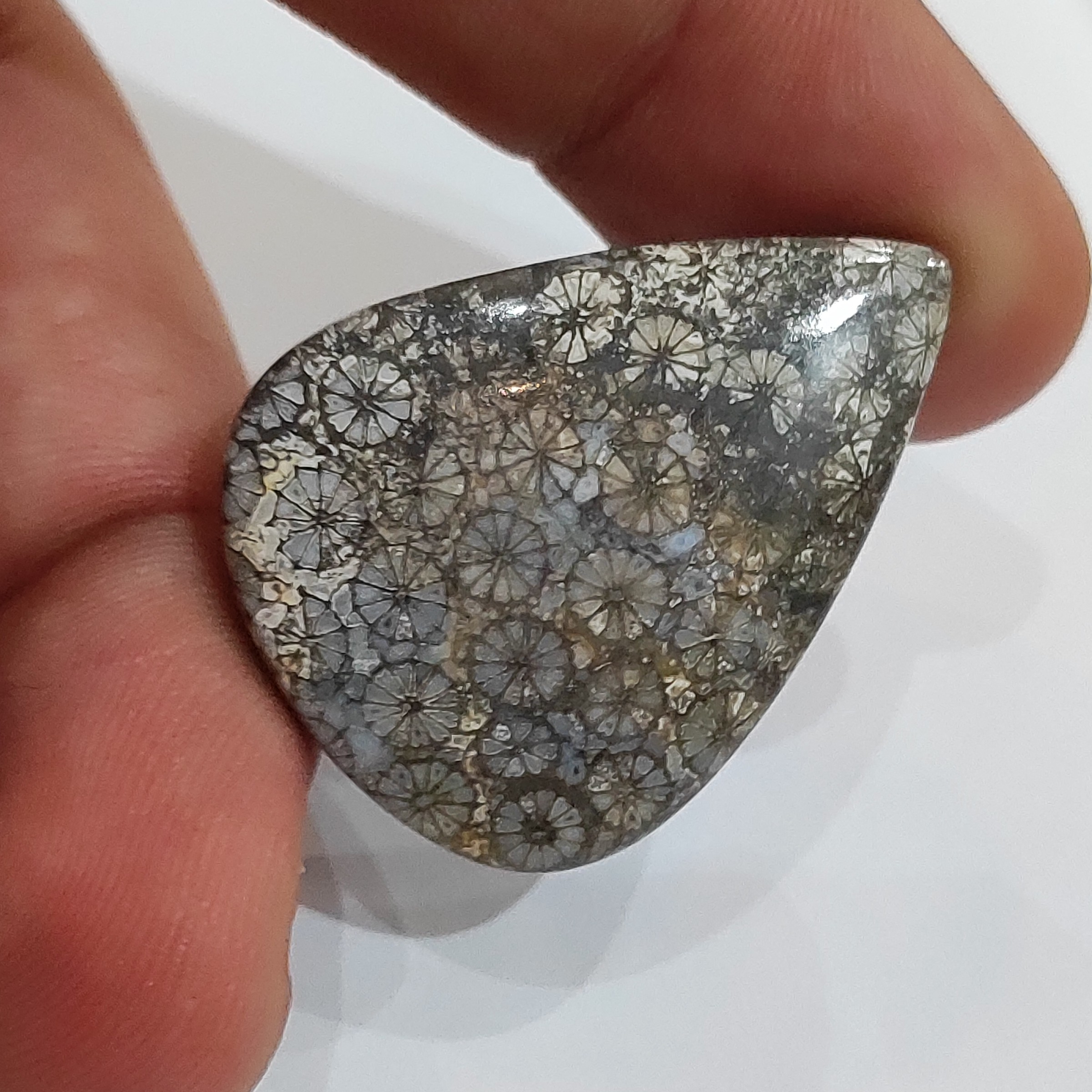 سنگ فسیل مرجان طبیعی و اصل با نقش عالی قدمت بالا  اشک تراش کلکسیونی