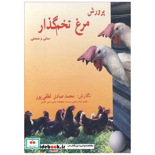 پرورش مرغ تخم گذار سنتی و صنعتی