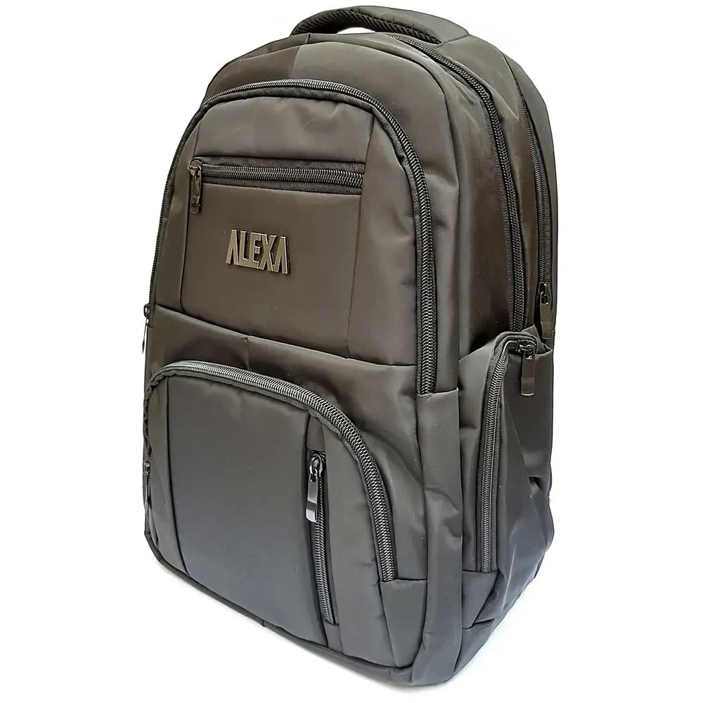 خرید کوله پشتی لپ تاپ دو خانه مدل ALEXA