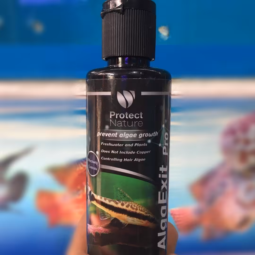 محلول ضد جلبک آلگی اگزیت پروتکت 125 میلی