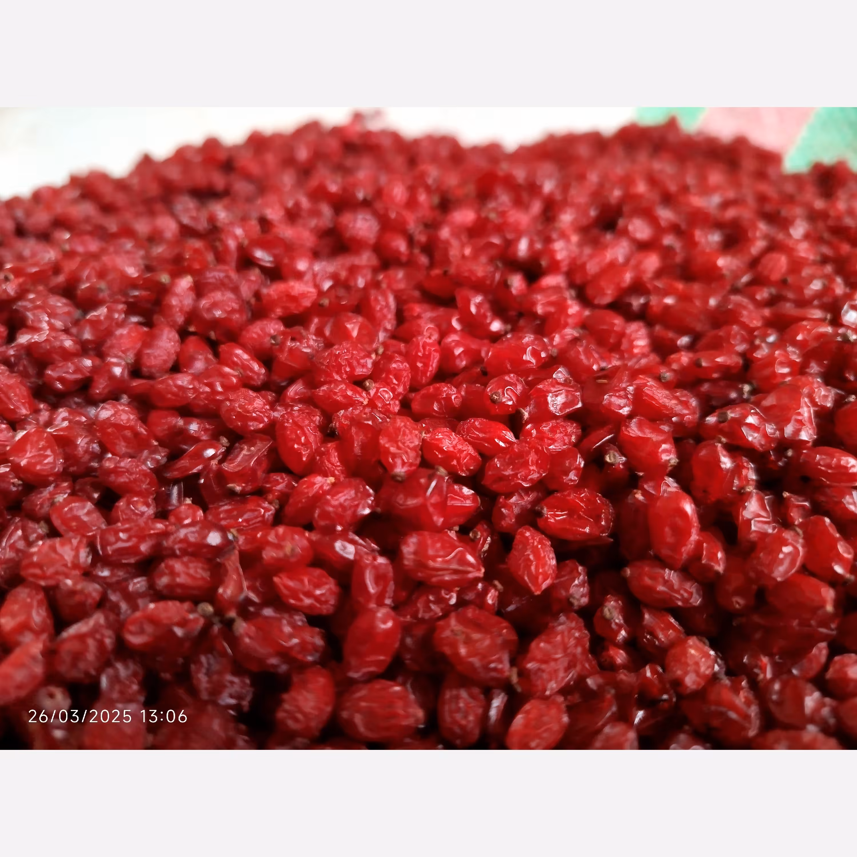 زرشک پفکی 500 گرم بدون روغن