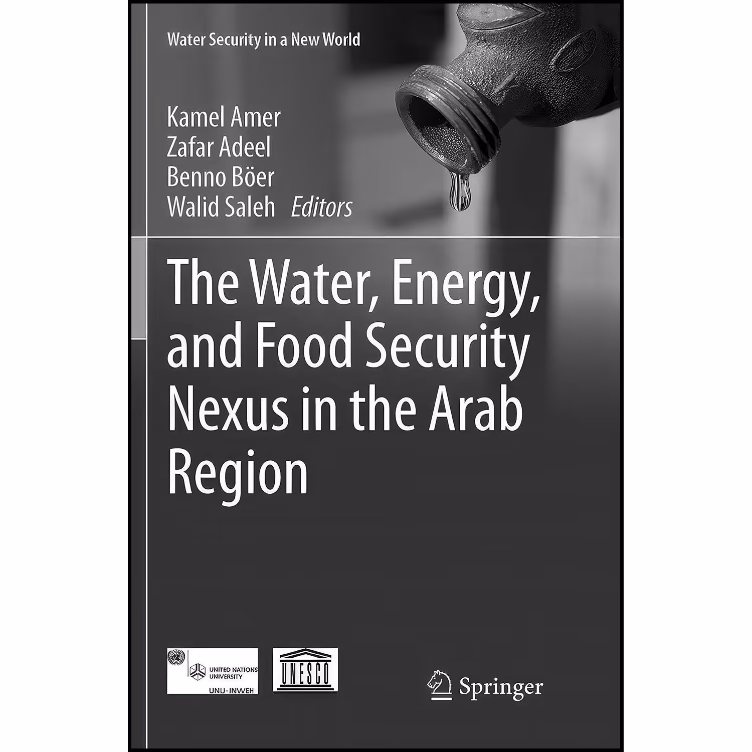 کتاب زبان اصلی The Water Energy and Food Security Nexus in the Arab Region 