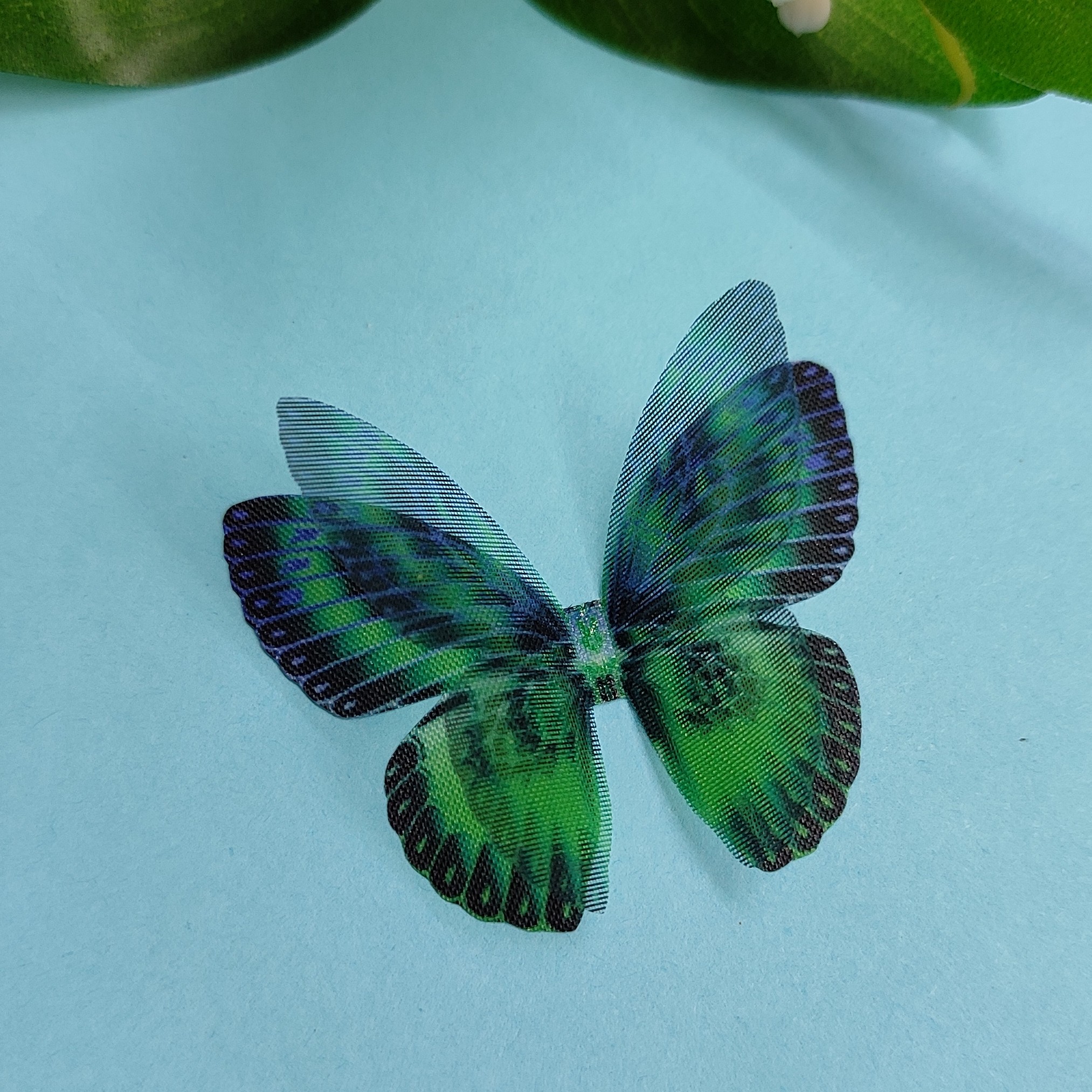 پروانه زینتی کد a135