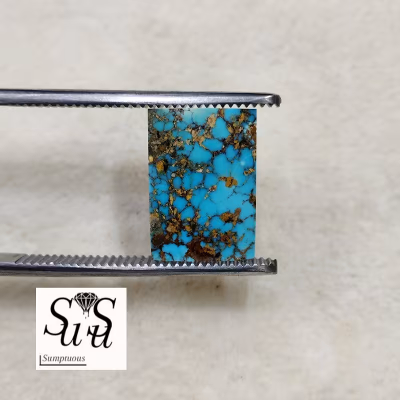 فیروزه شجری خوش طبع رنگ خاص اصل سو آس گالری با ارسال رایگان و سریع تر از موعد 


