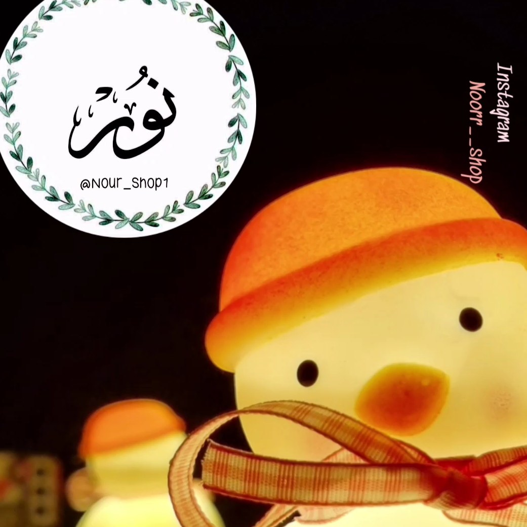 چراغ خواب پلاستیک نشکن مدل اردک باطری گرد میخوره
