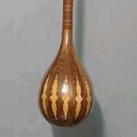 سه تار غزل اصل 3 مهر همراه هارد کیس تخفیف ویژه  همراه با هارد کیس و ارسال رایگان