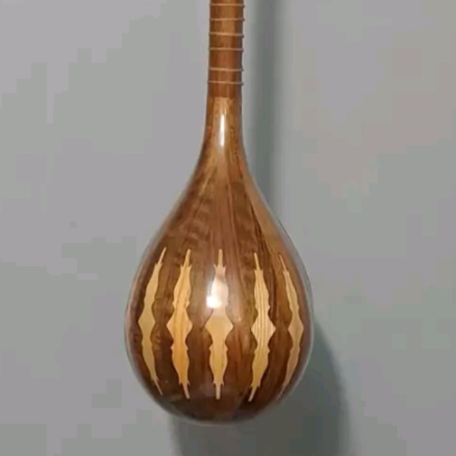 سه تار غزل اصل 3 مهر همراه هارد کیس تخفیف ویژه  همراه با هارد کیس و ارسال رایگان