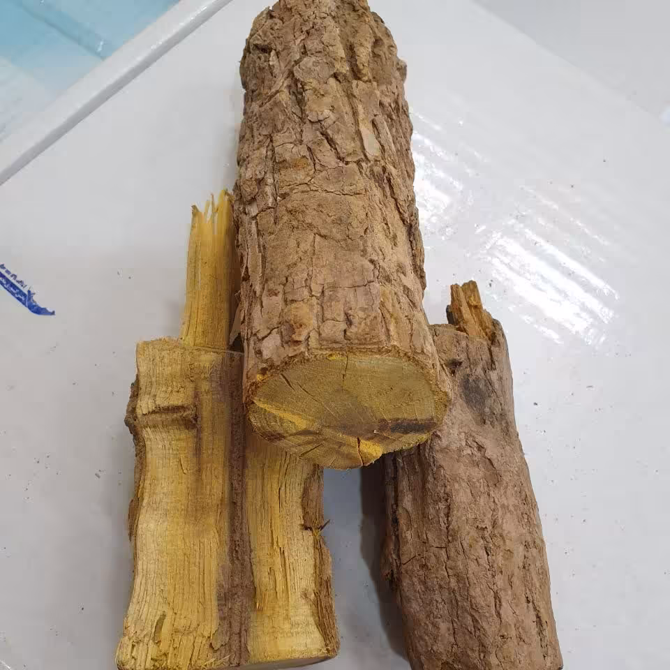 ریشه زرشک 100 گرم 