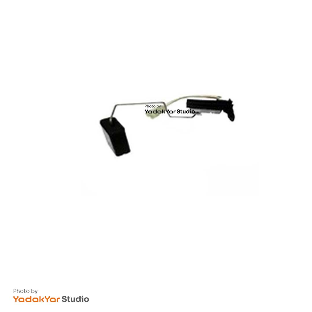 درجه باک کیا ریو