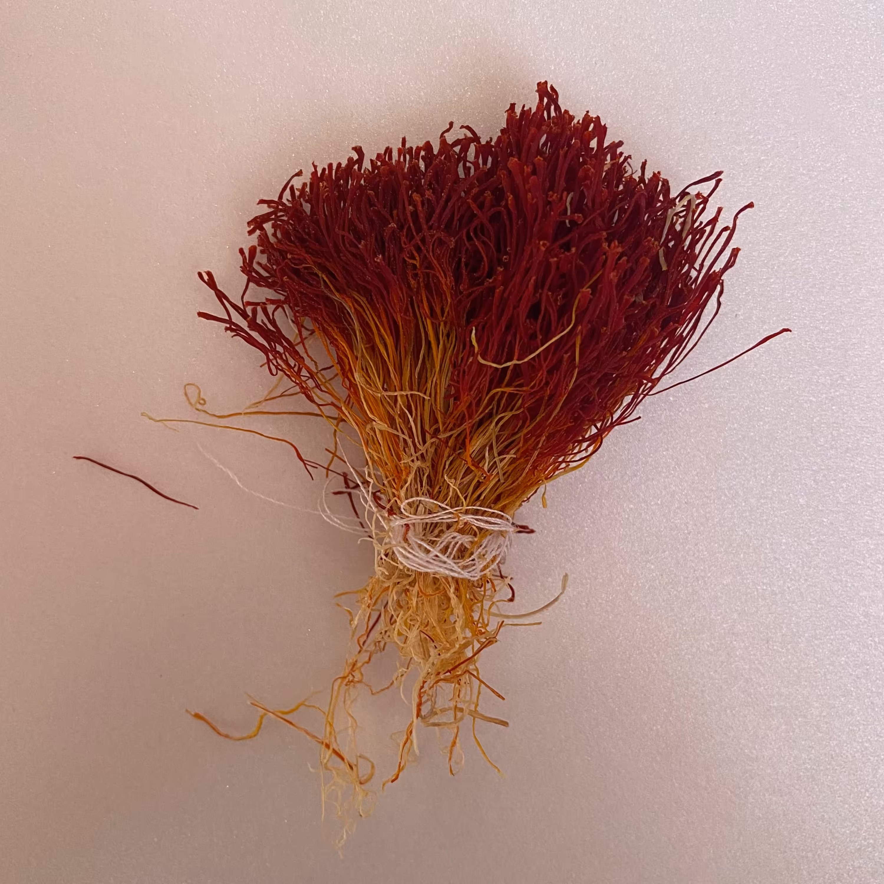 زعفران دسته ( مستقیم از مزرعه ) در بسته های 1 مثقالی 