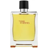 عطر مردانه تق د هرمس مردانه  - Terre D&#39;Hermes For Men