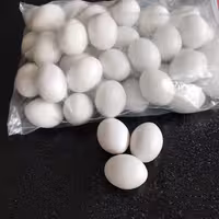 تخم پلاستیکی کبوتر 