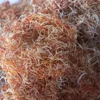 ریشه زعفران پنج مثقالی