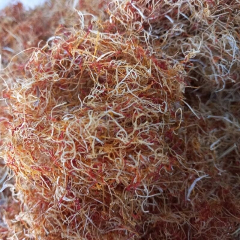 ریشه زعفران پنج مثقالی