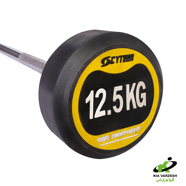 باربل 12/5 کیلو گرم
