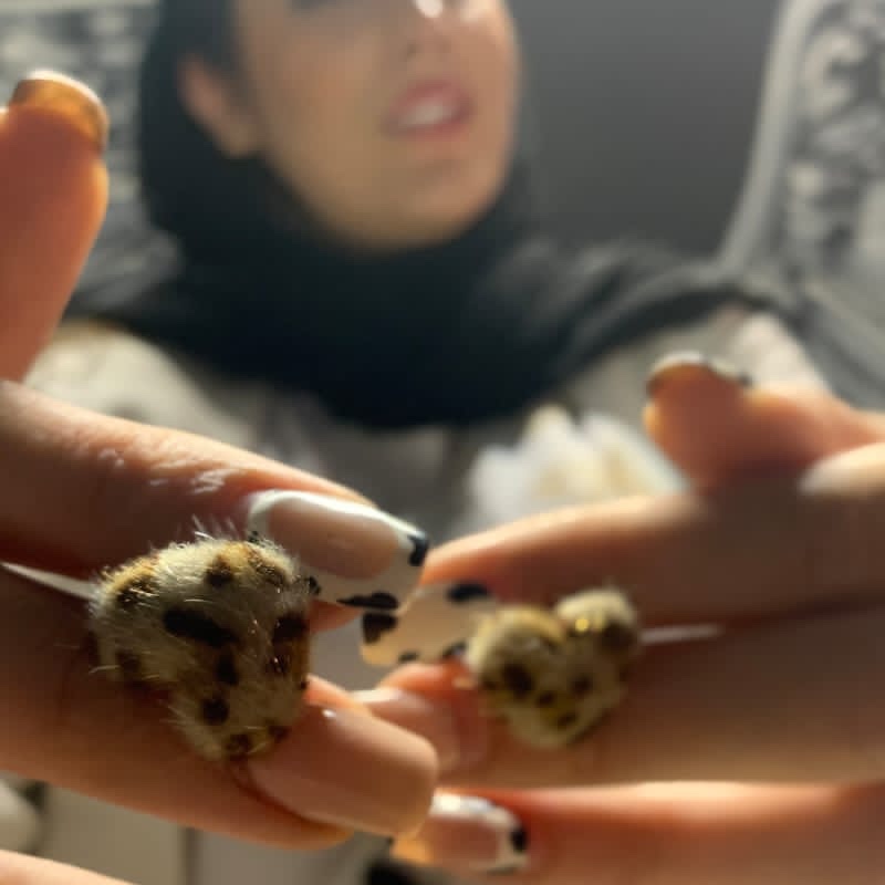 گوشواره پلنگی