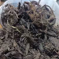 سنبل الطیب درجه یک 75 گرم 